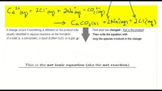 Ionic and Net Ionic Equations tutorial | Crash Chemistry Academy