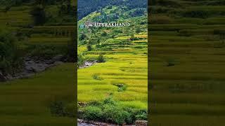 Uttrakhand Village Video//Pauri Garhwal