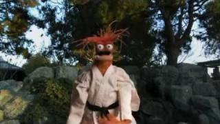 Shellfish Self Defense with Pepe the King Prawn