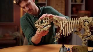 LEGO Jurassic World 76968 : Dinosaur Fossils: Tyrannosaurus Rex