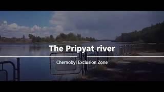 On the banks of the Pripyat River.| Tours of Chernobyl and Pripyat