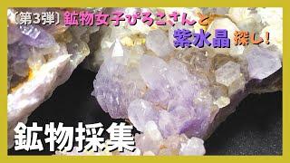 【鉱物採集】鉱物女子ぴろこさんと紫水晶探し＆ガマ出し紫水晶【第3弾】