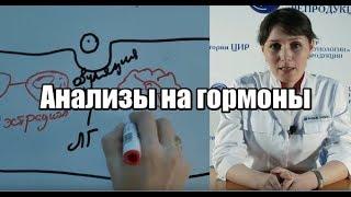 Анализы на гормоны: какие гормоны надо сдавать по дням цикла?