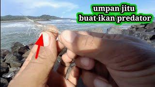 udang hidup adalah umpan jitu mancing ikan pinggiran