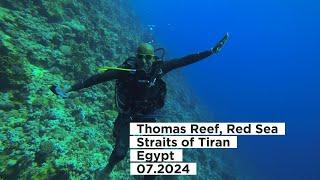 Thomas Reef, Red Sea, Straits of Tiran