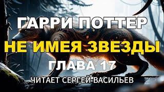 Не имея звезды - Глава 17 | Гарри Поттер (аудиокнига Васильев С.)