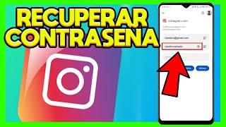 OLVIDE MI CONTRASEÑA DE INSTAGRAM [COMO LA RECUPERO]