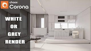 white or grey render with 3ds max and corona render