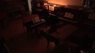 Claudio Brizi plays Sinfonia 11 in g BWV 797 by J. S. Bach - Piano Harmonium Klein (Paris, ab. 1900)