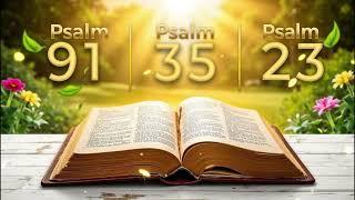 Psalm 91, Psalm 23, Psalm 35 - 3 Most Powerful prayers in the Bible