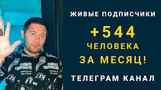 Живые подписчики в телеграм +544 реальных людей за 1 месяц - Раскрутка телеграмм в BestFollowers