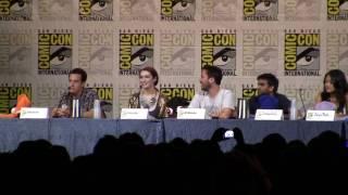 (2 of 4) The Guild panel, SDCC 2010