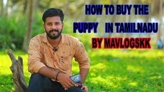 how to buy the puppy from mavlogskk |Transport available |tamil nadu | dog sales | puppy sales |