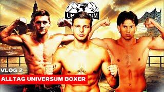 VLOG 2 : ALLTAG UNIVERSUM BOXER 