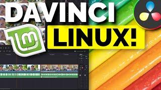 Davinci Resolve 19 and Linux Mint 22!