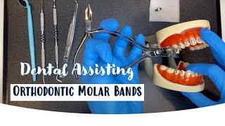 Dental Assisting: Removing Orthodontic Molar Bands