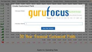 GuruFocus 30Y Financial Customized Fields