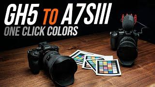 Sony A7Siii: ONE CLICK Color Grading for free in Davinci Resolve 17