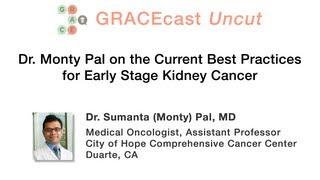 GRACEcastUC-041_Kidney_Dr. Monty Pal on the Current Best Practices for Early Stage Kidney Cancer