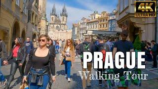 Prague City in May. Virtual Walking Tour of Prague. Czech Republic. May, 2022