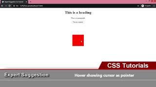 Hover Cursor as Pointer using CSS | CSS Tutorials | Cursor Basic Uses in CSS