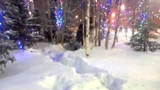 Типичная зима на Ямале