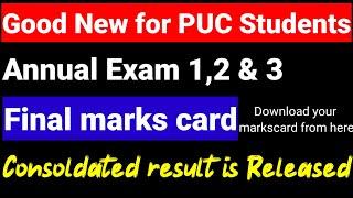 2nd PUC Annual exam combined  result 2024/final marks card 2024  final exam 1,2&3 results link  ksea