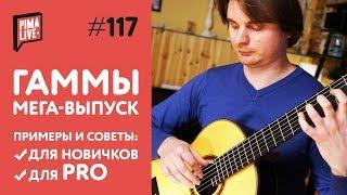 Большой выпуск о Гаммах | Уроки гитары