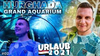 Das Hurghada GRAND AQUARIUM  Teil 2 Urlaub 2021 - ZOQQER Life