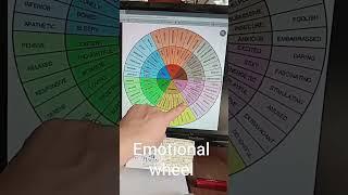 What is the Emotional Wheel?