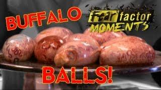 Fear Factor Moments | Buffalo Testicles