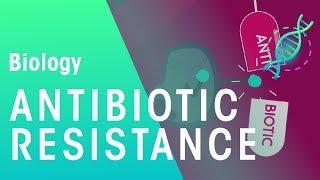 Antibiotic Resistance | Health | Biology | FuseSchool