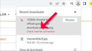 Google Chrome Download  - Check Internet Connection Issue