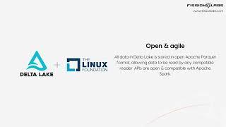 Databricks Delta Lake Services by Fission Labs
