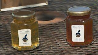 The Secret Behind Some of Illinois’ Most Celebrated Honey