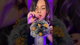 ASMR #асмр #асмршортс #asmrshorts #asmrbugs #asmrcleaning