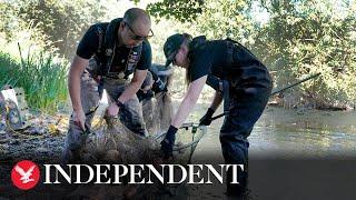 Environment Agency rescues fish as hot weather impacts animals in the UK