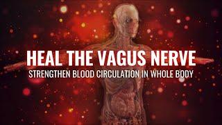 Heal The Vagus Nerve | Strengthen Blood Circulation in Whole Body | Balance Your Resting Heart Rate