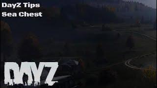 DayZ Tips - The Sea Chest