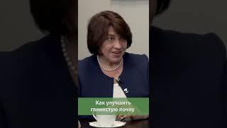   Как улучшить глиняную почву? #работывсаду