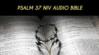 PSALM 37 NIV AUDIO BIBLE