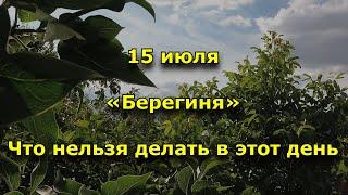 Народный праздник «Берегиня». 15 июля. Что нельзя делать