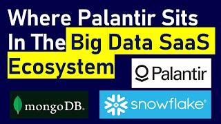 Where Does Palantir's Foundry Sit In The Big Data SaaS Ecosystem? Differences with MongoDB/Snowflake