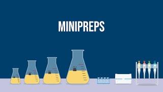 Extracting Plasmid DNA: How To Do a Miniprep