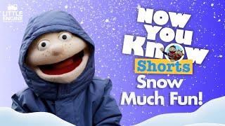 Snow Much Fun ️️ | Now You Know | Learning for Kids 