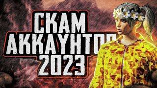 Как скамить в 2023??? Скамлю 1 час фишинг ссылка!!!