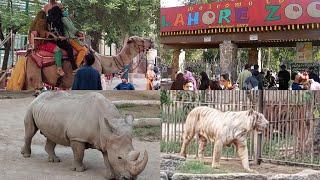 Lahore Zoo 2021 || Wildlife Park In Lahore Pakistan || Discover Zoo By Saima Ali Official