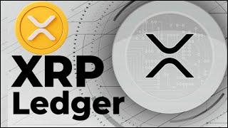 DeFi on XRPL: Earning with AMM Explained (NOT Staking XRP!)