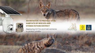 An initiative to protect vital habitats of wolves and hyenas in Pune district