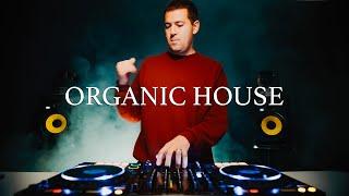 Anjunadeep Organic House // Tim Green, Ranta, Izhevski, Bona Fide & more!